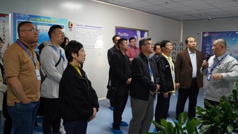 感知“绿美”新画卷——“追梦中华·奋进新江苏”2024海外华文媒体江苏采访团走进盐城东台