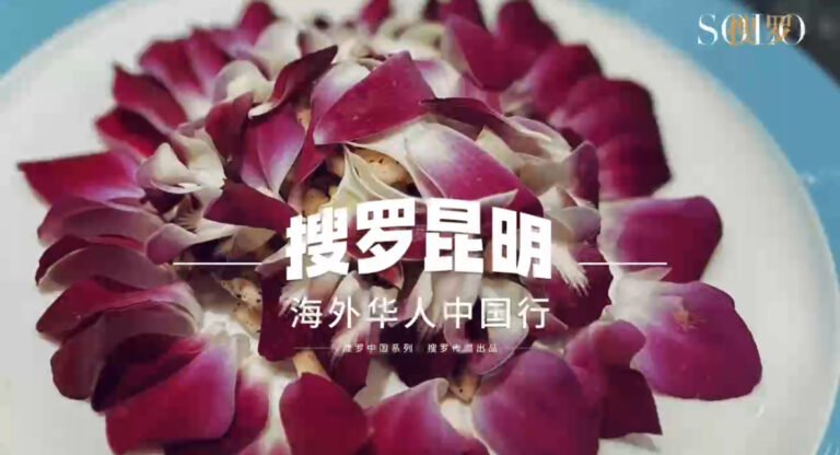 搜罗昆明