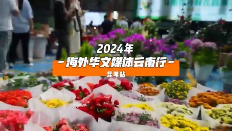 海外华文媒体云南行之昆明站（视频）