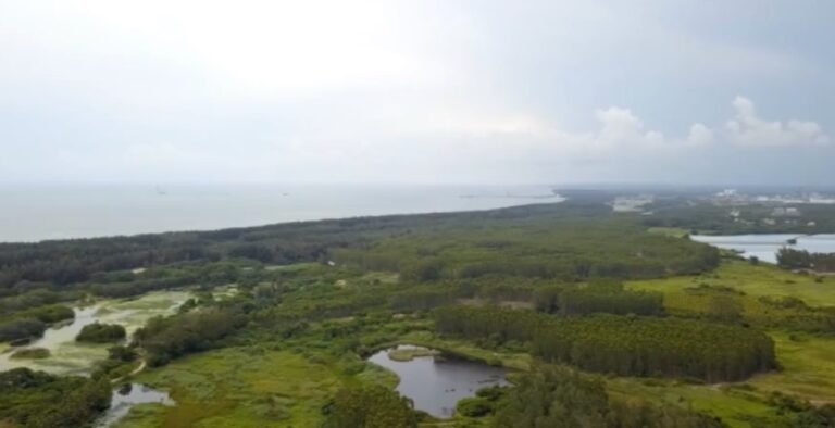 昌江：海尾国家湿地公园（试点）生态秀美 鸟类常栖