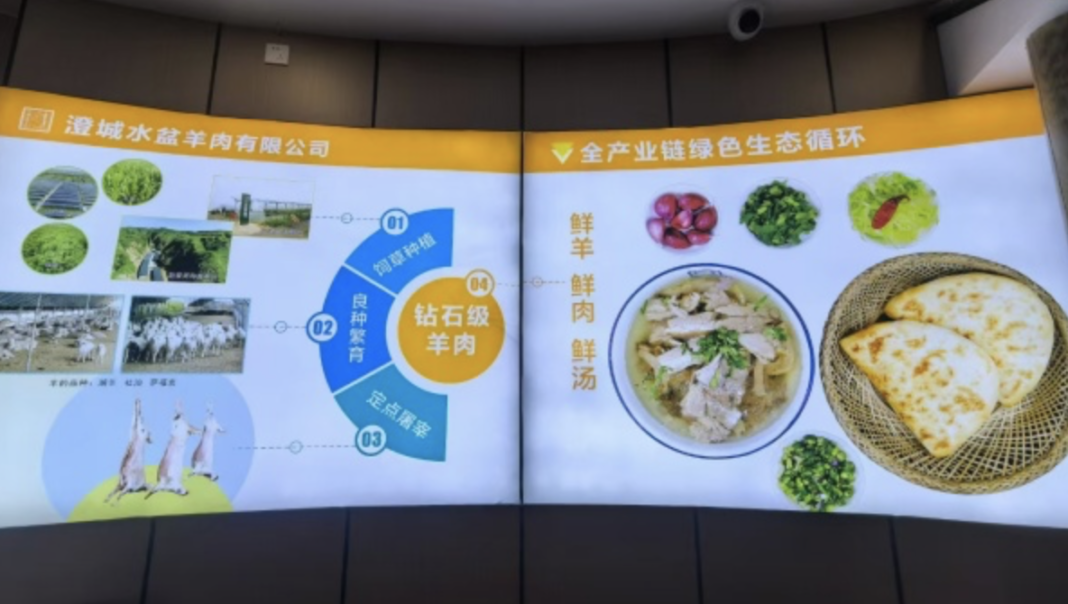 华文媒体聚焦澄城:非遗美食与乡村振兴的深度探寻 - 搜罗杂志 | SOLO MAGAZINE