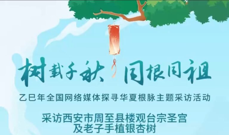 【视频】采访西安市周至县楼观台宗圣宫及老子手植银杏树
