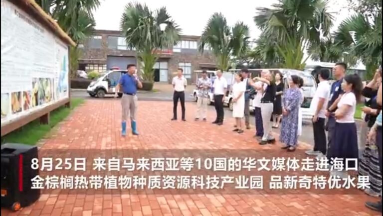 “金棕榈”里品新奇特优热带水果：仿佛“刘姥姥进大观园”
