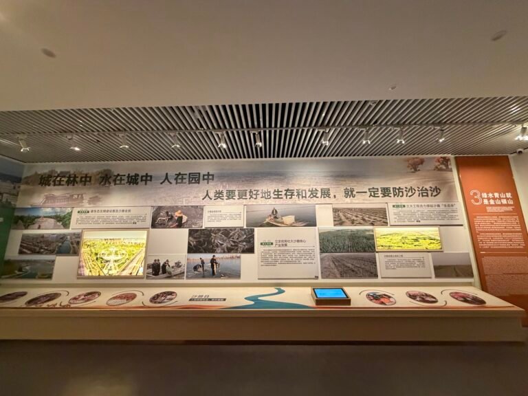 艺村融文旅 非遗润民心 红果富农家