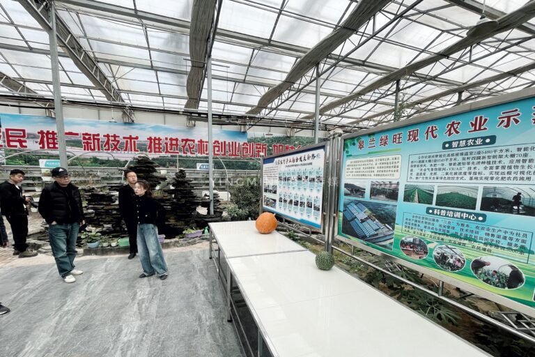 兰州皋兰合作社带农户“种”出好光景