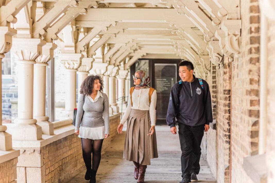 三所加拿大大学跻身全球学科排名前50强 - Image 1