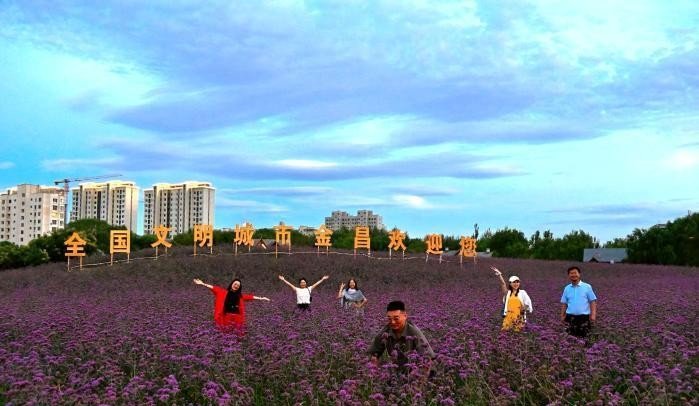 金昌紫金花海,工业城市中的生态柔情。