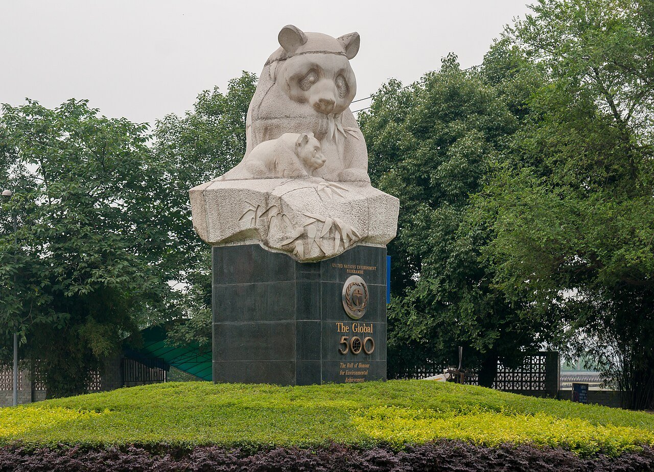 大熊猫