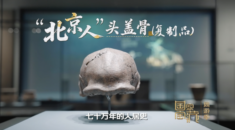 国家宝藏·周游记（二）：北京人头盖骨