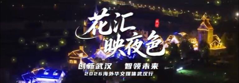 花汇映夜色（视频）
